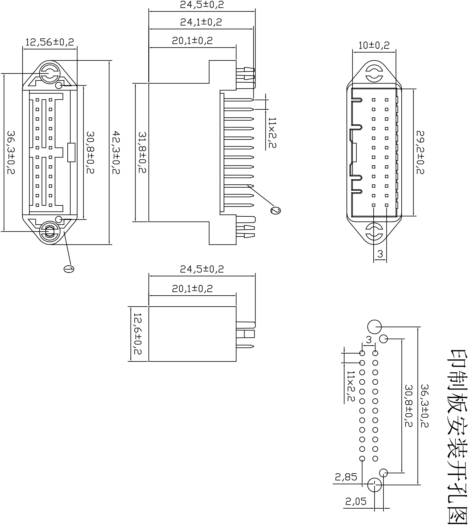 雷諾24P針座 Model (1).jpg