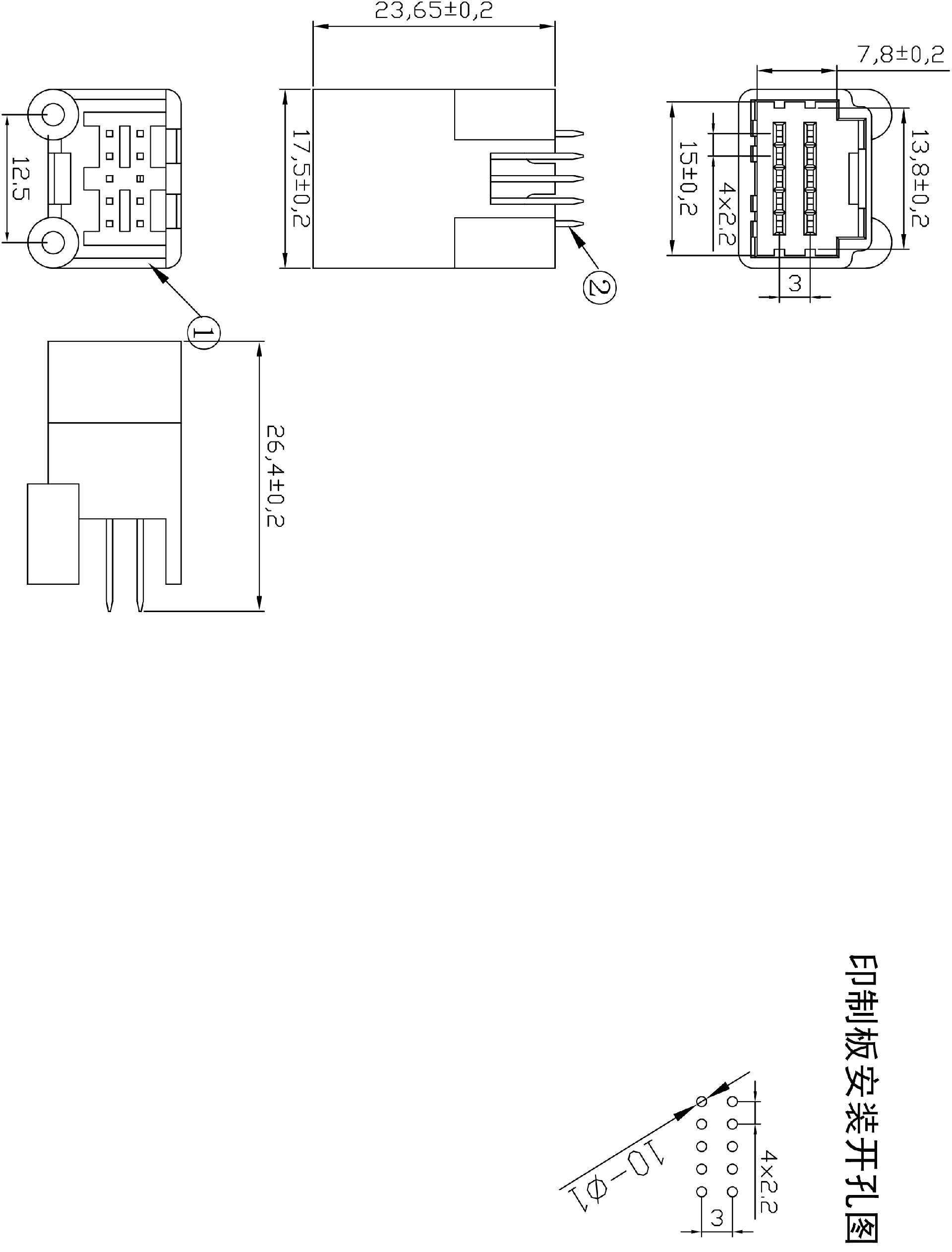 天籟10P直針 Model (1) 副本.jpg